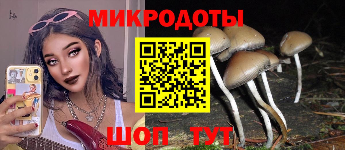 Псилоцибиновые грибы Psilocybe  Вход с VPN  Ейск  Галлюциногенные грибы Psilocybine cubensis 